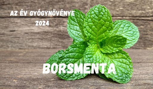 Borsmenta